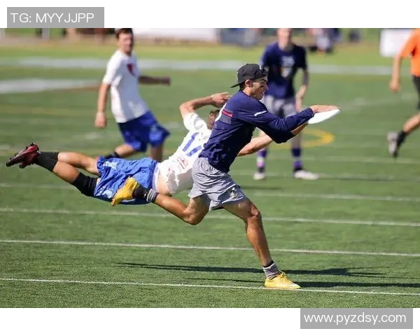 南京飞盘队的耐力挑战与训练探索聚焦飞盘运动的魅力与发展